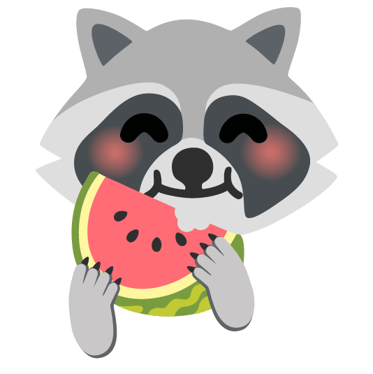 watermelon raccoon