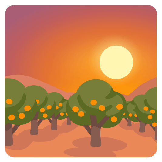 tangerine city sunrise