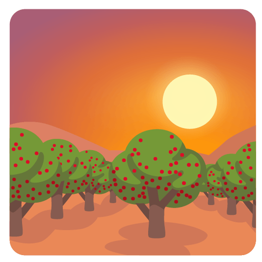 cherries city sunrise