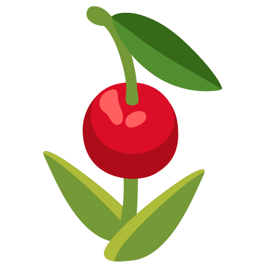 cherries tulip