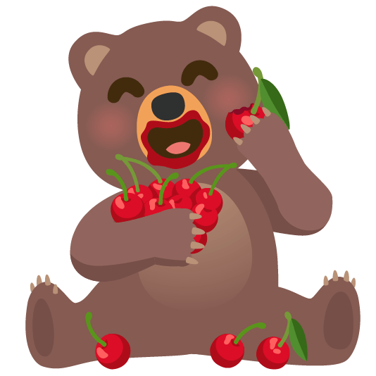 cherries bear