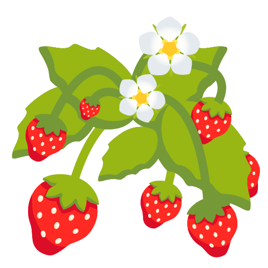 strawberry evergreen tree