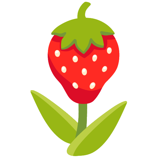 strawberry tulip