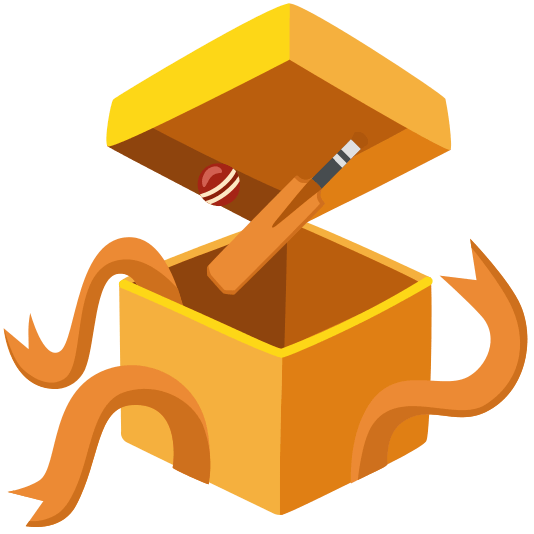 gift cricket bat and ball