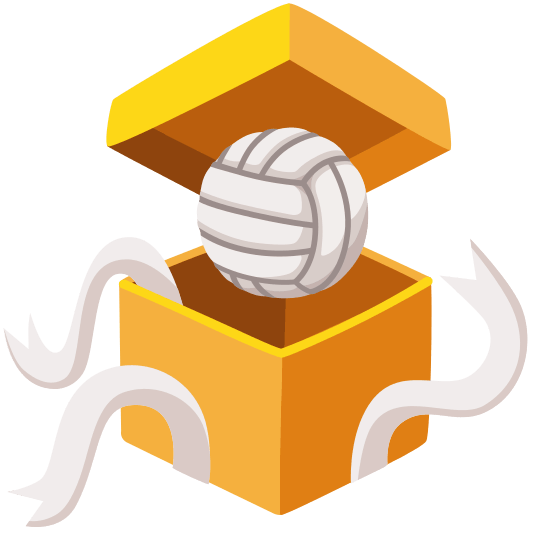 gift volleyball