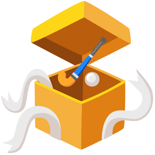 gift field hockey stick and ball