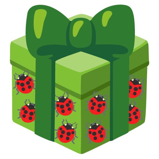 gift ladybug