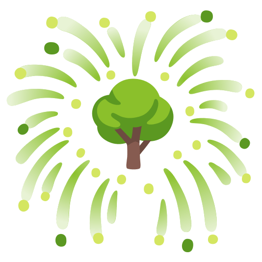 fireworks deciduous tree