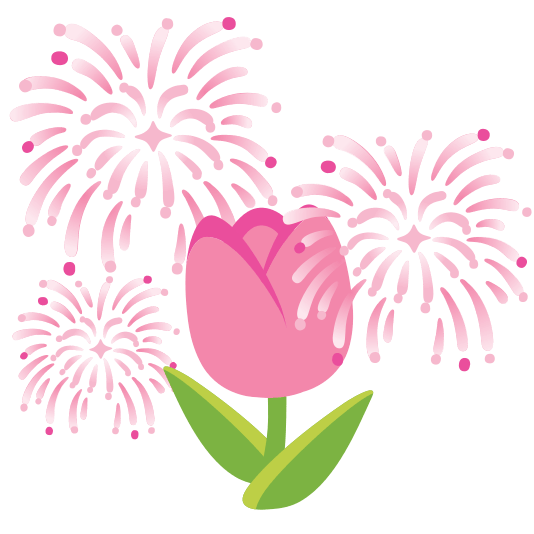 fireworks tulip