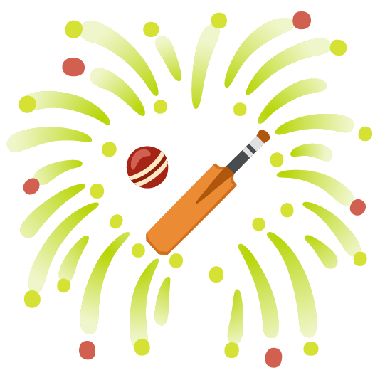 fireworks cricket bat and ball