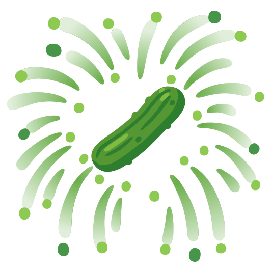 fireworks cucumber