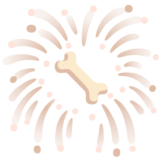 fireworks bone