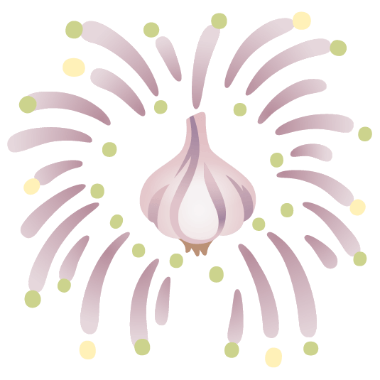 fireworks garlic