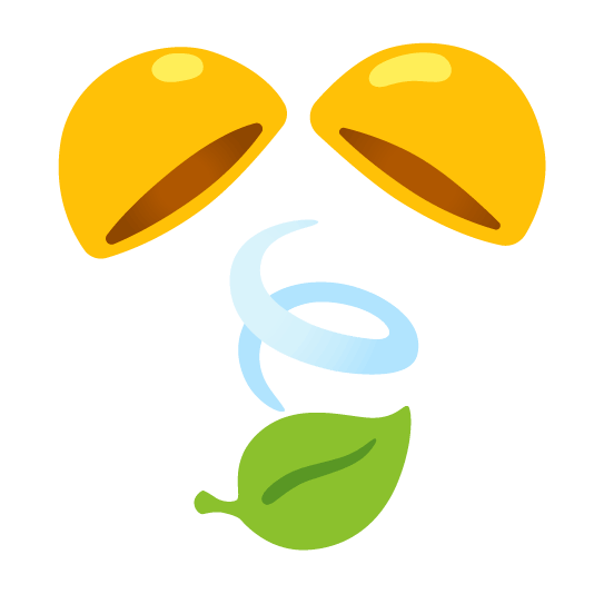 confetti ball leaves