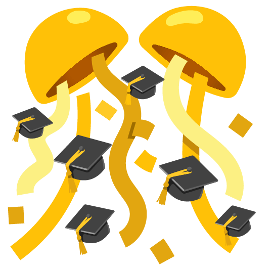 confetti ball mortar board