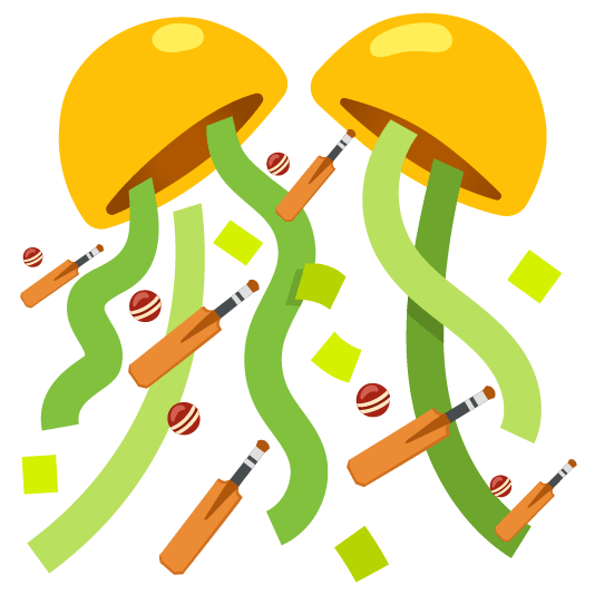 confetti ball cricket bat and ball