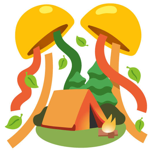 confetti ball camping