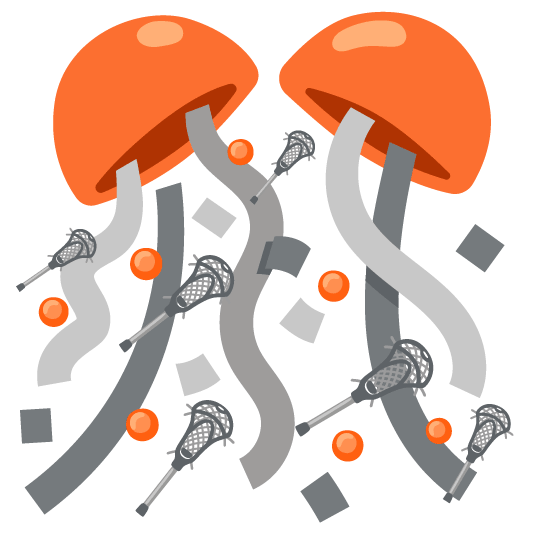 confetti ball lacrosse