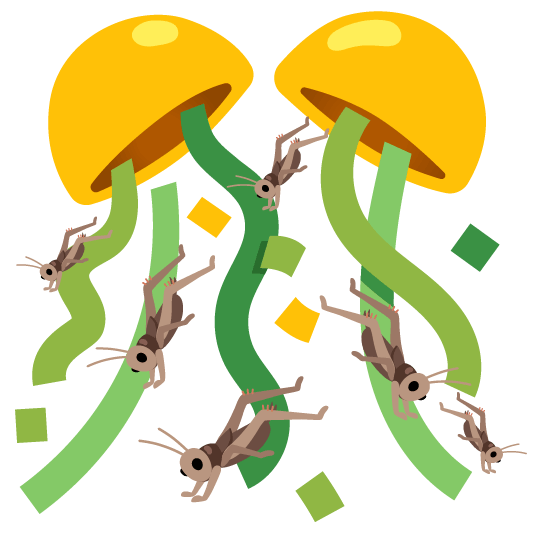 confetti ball cricket