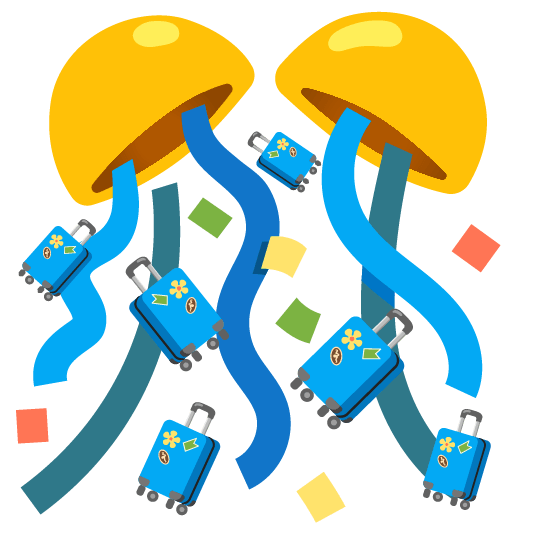 confetti ball luggage