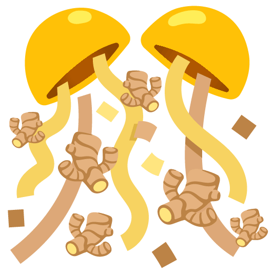 confetti ball ginger root