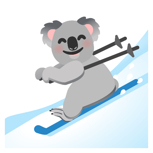ski koala