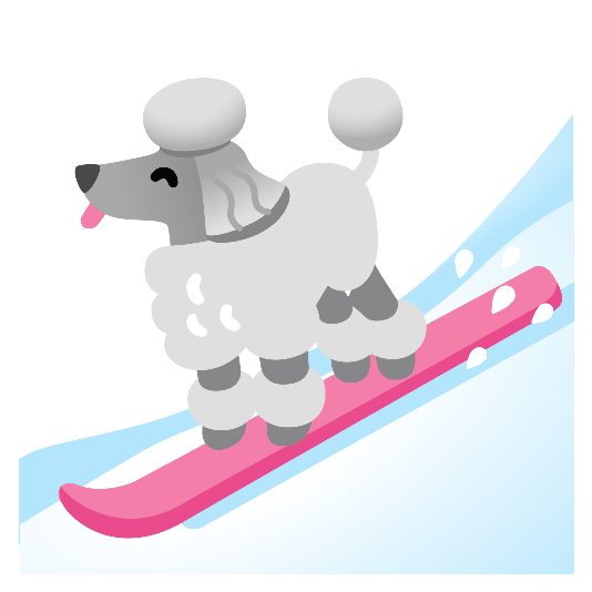 ski poodle