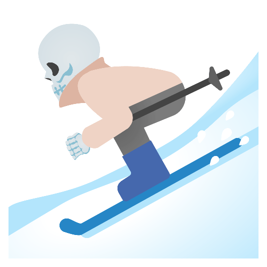 ski skull