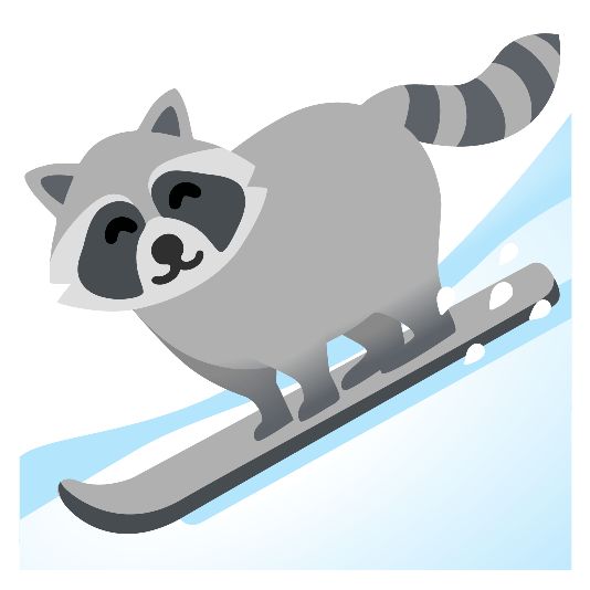 ski raccoon