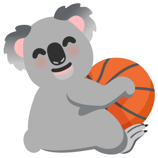 basketball koala