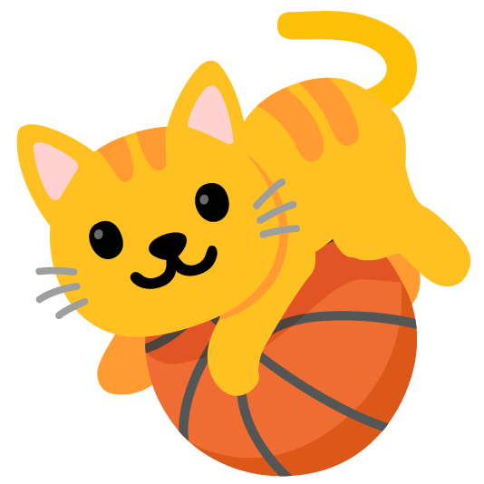 basketball cat