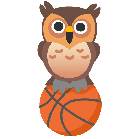 basketball owl