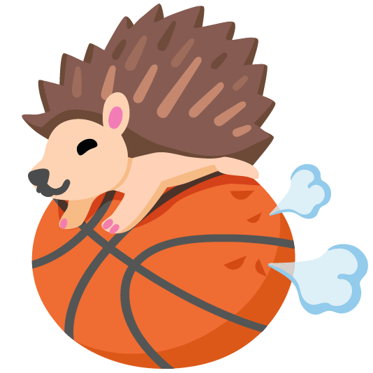 basketball hedgehog