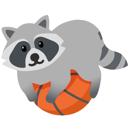 basketball raccoon