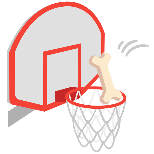 basketball bone