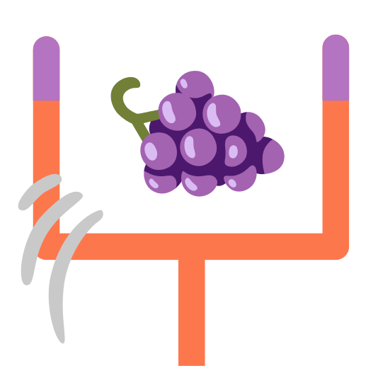 football grapes