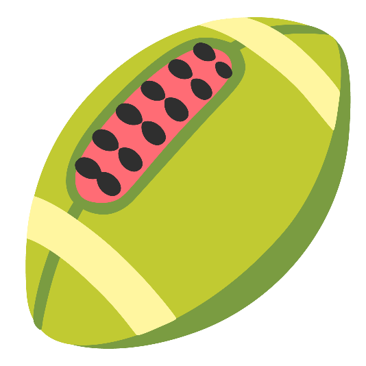 football watermelon