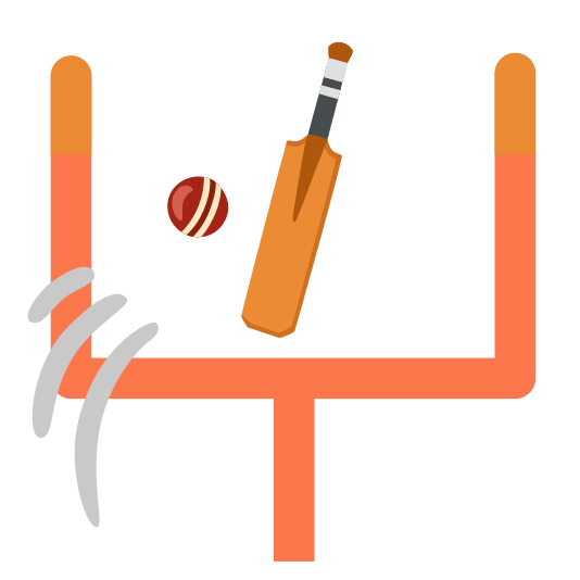 football cricket bat and ball