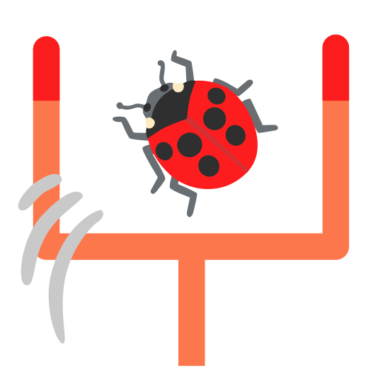 football ladybug