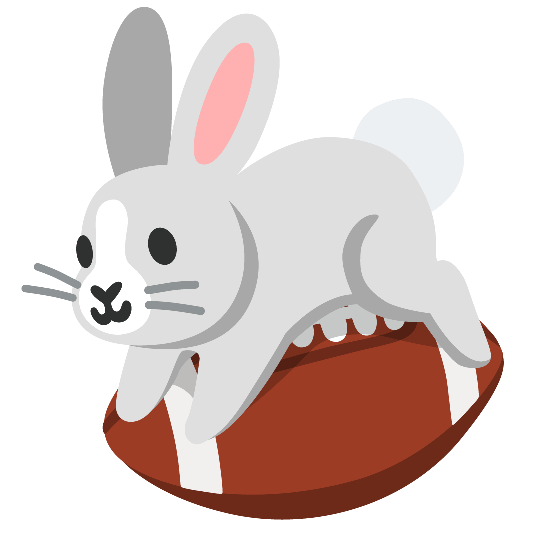 football rabbit