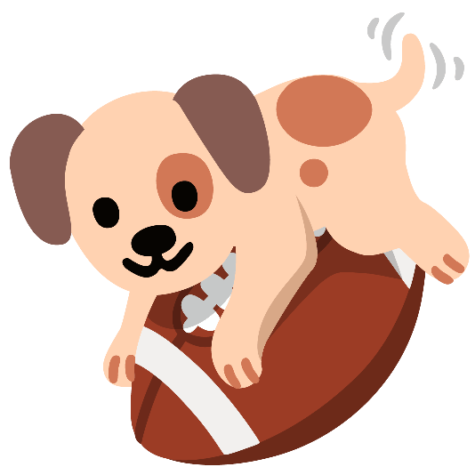 football dog