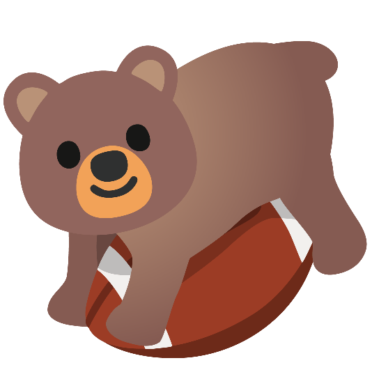 football bear