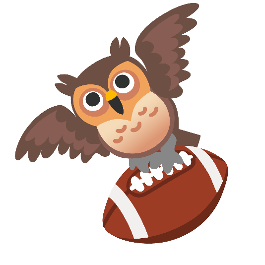 football owl