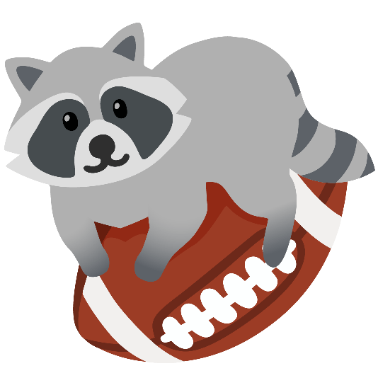 football raccoon
