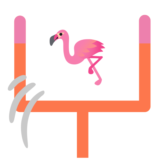 football flamingo