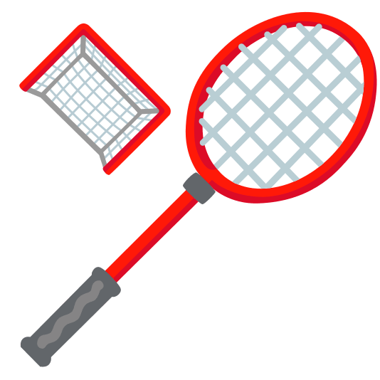badminton racquet and shuttlecock goal net