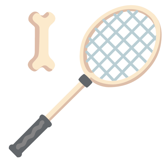 badminton racquet and shuttlecock bone