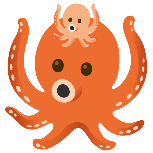 octopus octopus