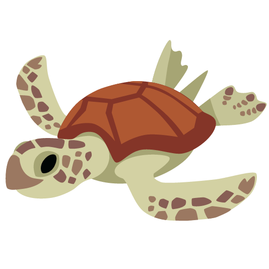 fish turtle
