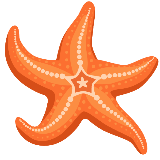 fish star